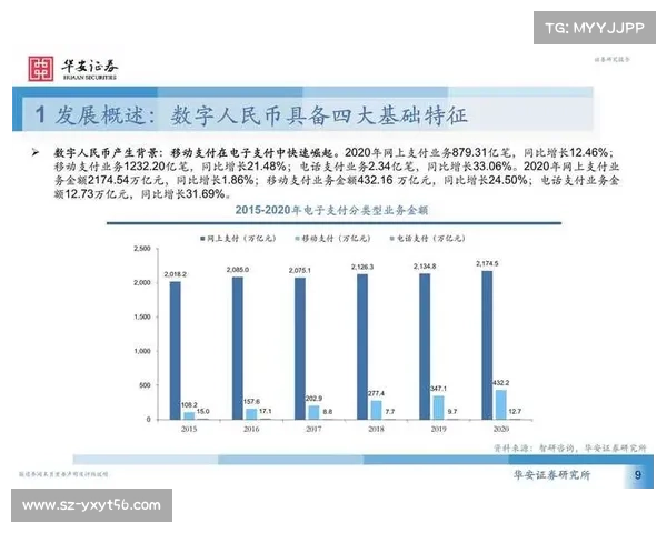 人民币原材料来源对中国经济结构调整与发展影响的综合分析 人民币原材料来源对中国经济结构调整与发展影响的综合分析