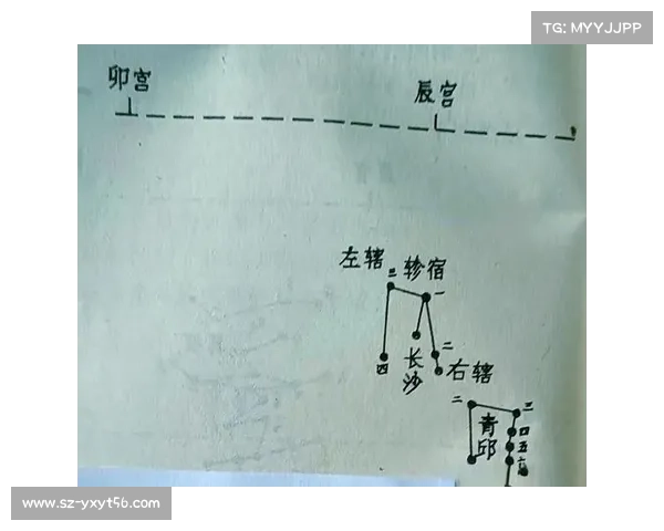 探索朱雀天境的奥秘与入门指南逐步掌握技巧与策略 探索朱雀天境的奥秘与入门指南逐步掌握技巧与策略